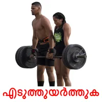എടുത്തുയർത്തുക flashcards illustrate