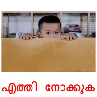 എത്തി നോക്കുക flashcards illustrate