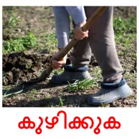 കുഴിക്കുക flashcards illustrate