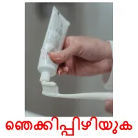 ഞെക്കിപ്പിഴിയുക flashcards illustrate