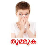 തുമ്മുക flashcards illustrate