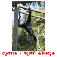 തൂങ്ങുക / തൂങ്ങി കിടക്കുക flashcards illustrate