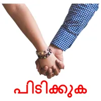 പിടിക്കുക flashcards illustrate