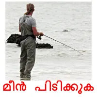 മീൻ പിടിക്കുക flashcards illustrate
