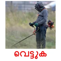 വെട്ടുക flashcards illustrate