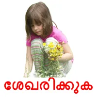 ശേഖരിക്കുക flashcards illustrate