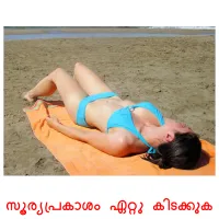 സൂര്യപ്രകാശം ഏറ്റു കിടക്കുക flashcards illustrate