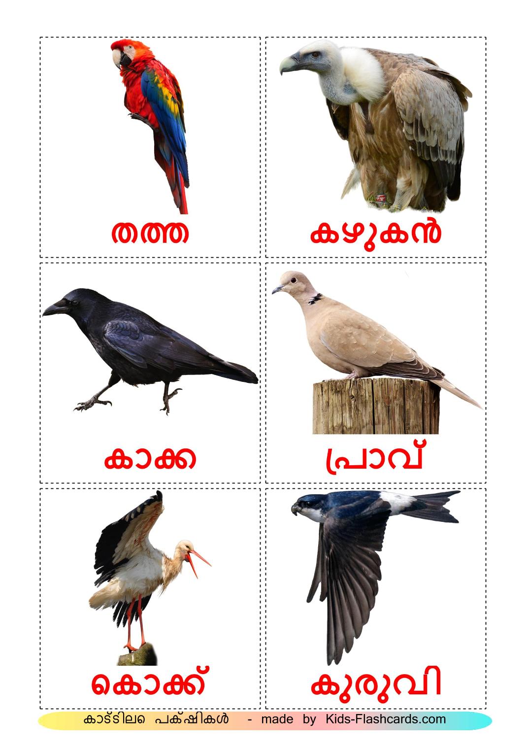 Les Oiseaux Sauvages - 18 Flashcards malayalam imprimables gratuitement