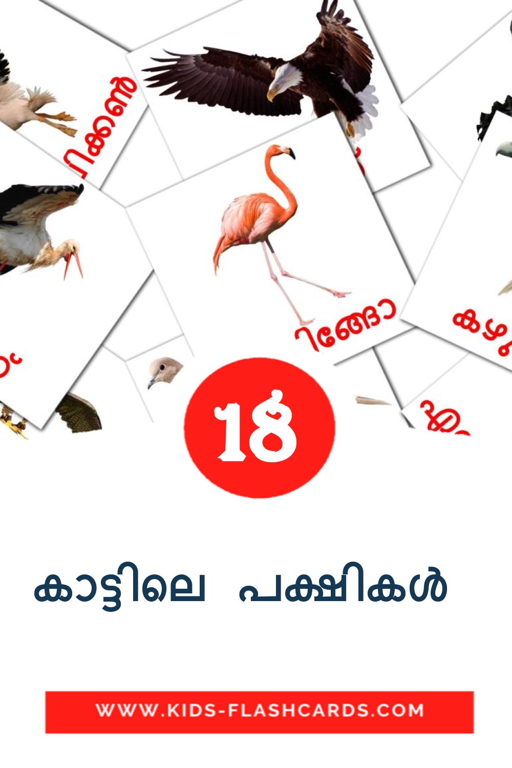 18 cartes illustrées de കാട്ടിലെ പക്ഷികൾ  pour la maternelle en malayalam