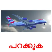 പറക്കുക ansichtkaarten