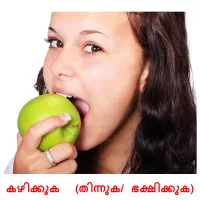കഴിക്കുക  (തിന്നുക/ ഭക്ഷിക്കുക) cartes de vocabulaire