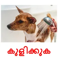 കുളിക്കുക cartes de vocabulaire