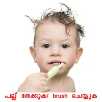 പല്ല് തേക്കുക/ brush ചെയ്യുക cartes de vocabulaire