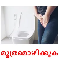മൂത്രമൊഴിക്കുക cartes de vocabulaire