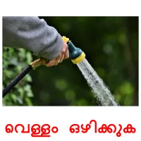 വെള്ളം ഒഴിക്കുക cartes de vocabulaire