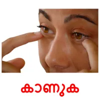 കാണുക Tarjetas didacticas