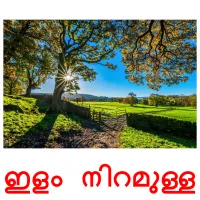 ഇളം നിറമുള്ള bildkort för barn