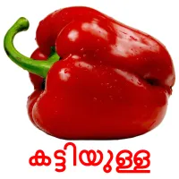 കട്ടിയുള്ള bildkort för barn