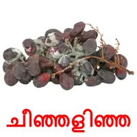 ചീഞ്ഞളിഞ്ഞ bildkort för barn