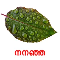 നനഞ്ഞ bildkort för barn