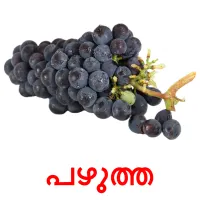 പഴുത്ത bildkort för barn