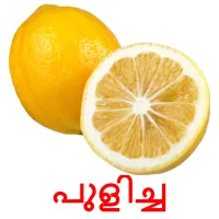 പുളിച്ച bildkort för barn