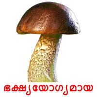 ഭക്ഷ്യയോഗ്യമായ bildkort för barn