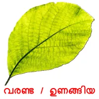 വരണ്ട / ഉണങ്ങിയ bildkort för barn