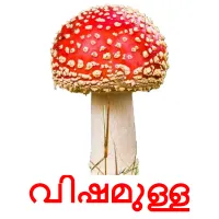 വിഷമുള്ള bildkort för barn