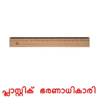 പ്ലാസ്റ്റിക് ഭരണാധികാരി picture flashcards