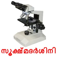 സൂക്ഷ്മദർശിനി picture flashcards