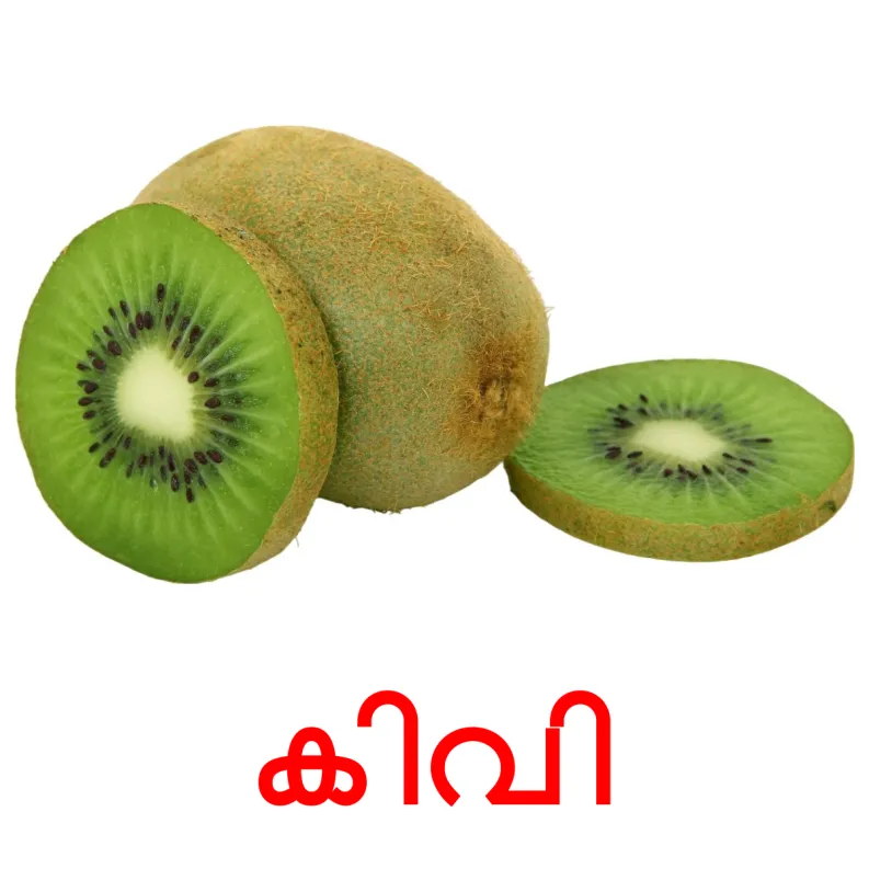 20 FREE Fruits Flashcards PDF Malayalam Words