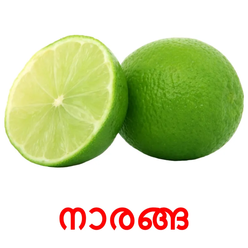 20 FREE Fruits Flashcards PDF Malayalam Words
