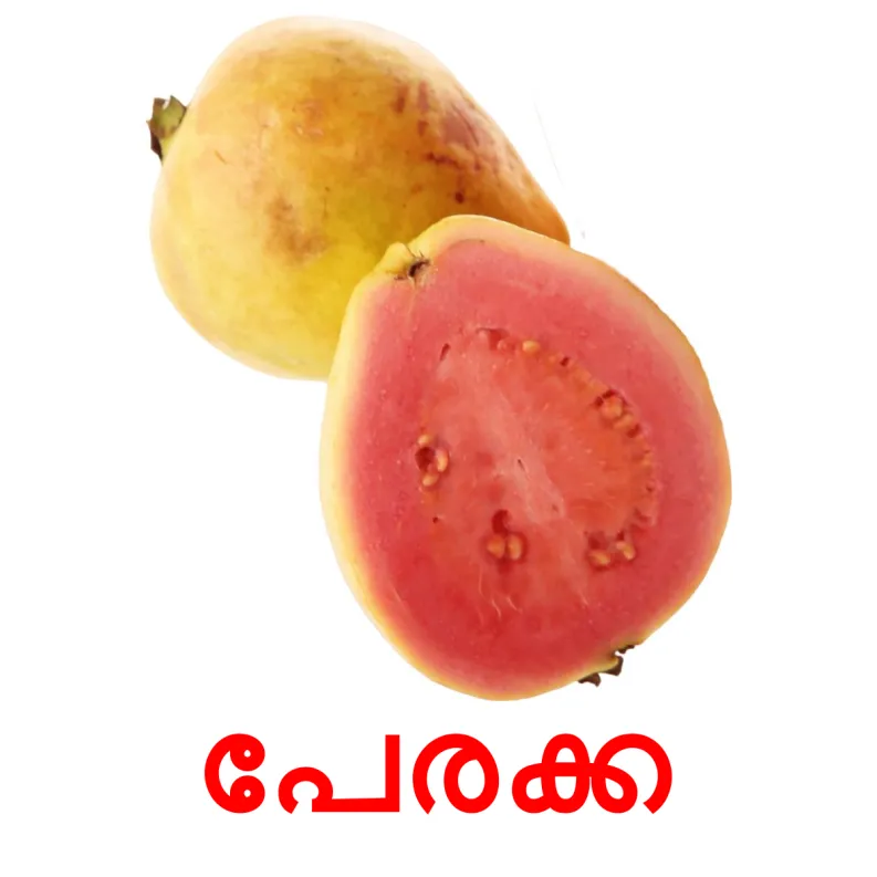 20 FREE Fruits Flashcards PDF Malayalam Words