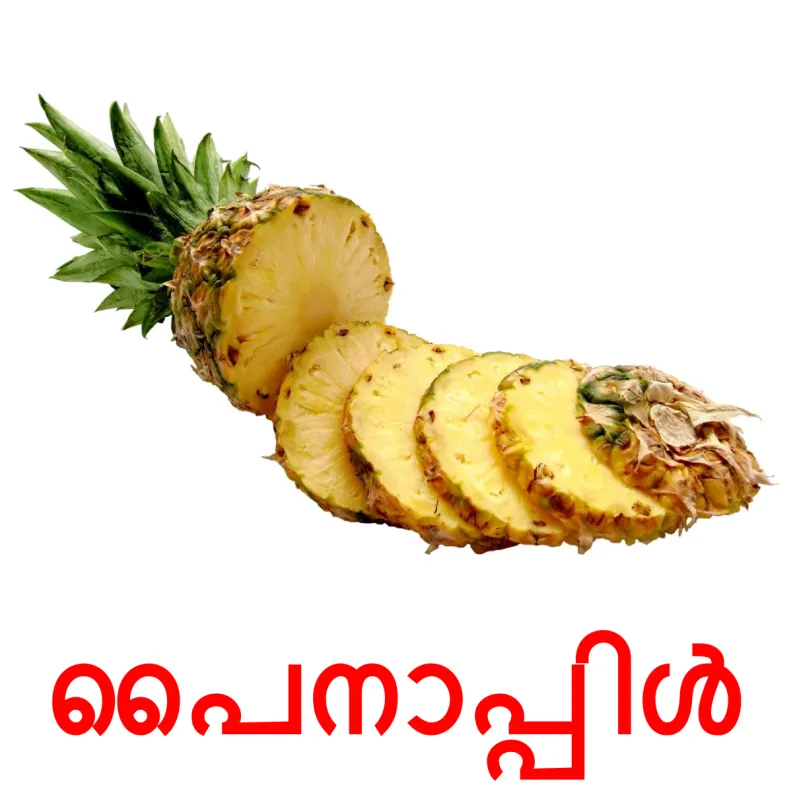 20 FREE Fruits Flashcards PDF Malayalam Words