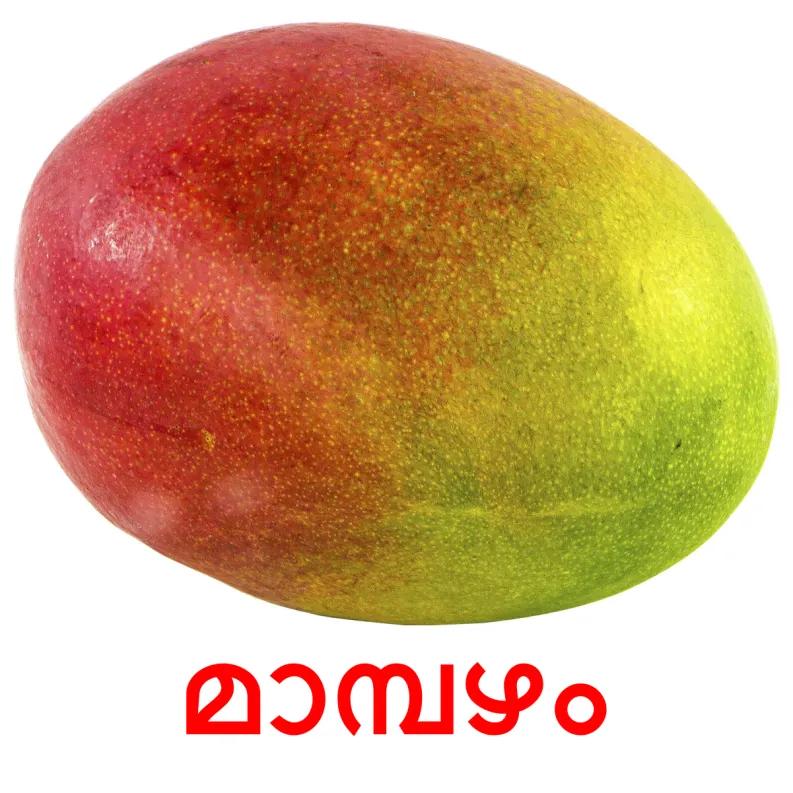20 FREE Fruits Flashcards PDF Malayalam Words