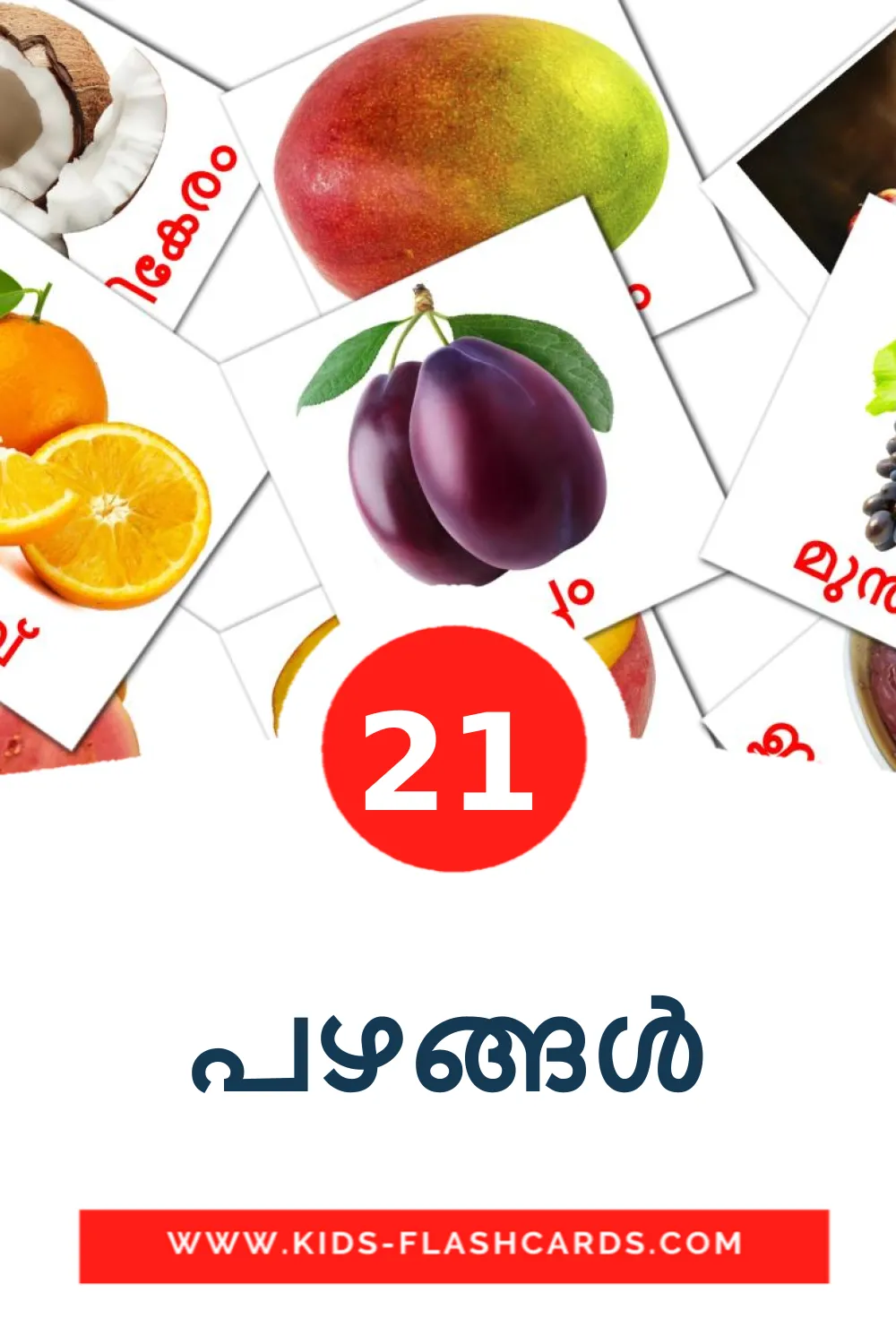 21 carte illustrate di പഴങ്ങൾ per la scuola materna in malayalam