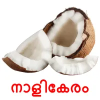 നാളികേരം flashcards illustrate