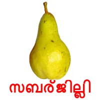 സബര്ജില്ലി flashcards illustrate