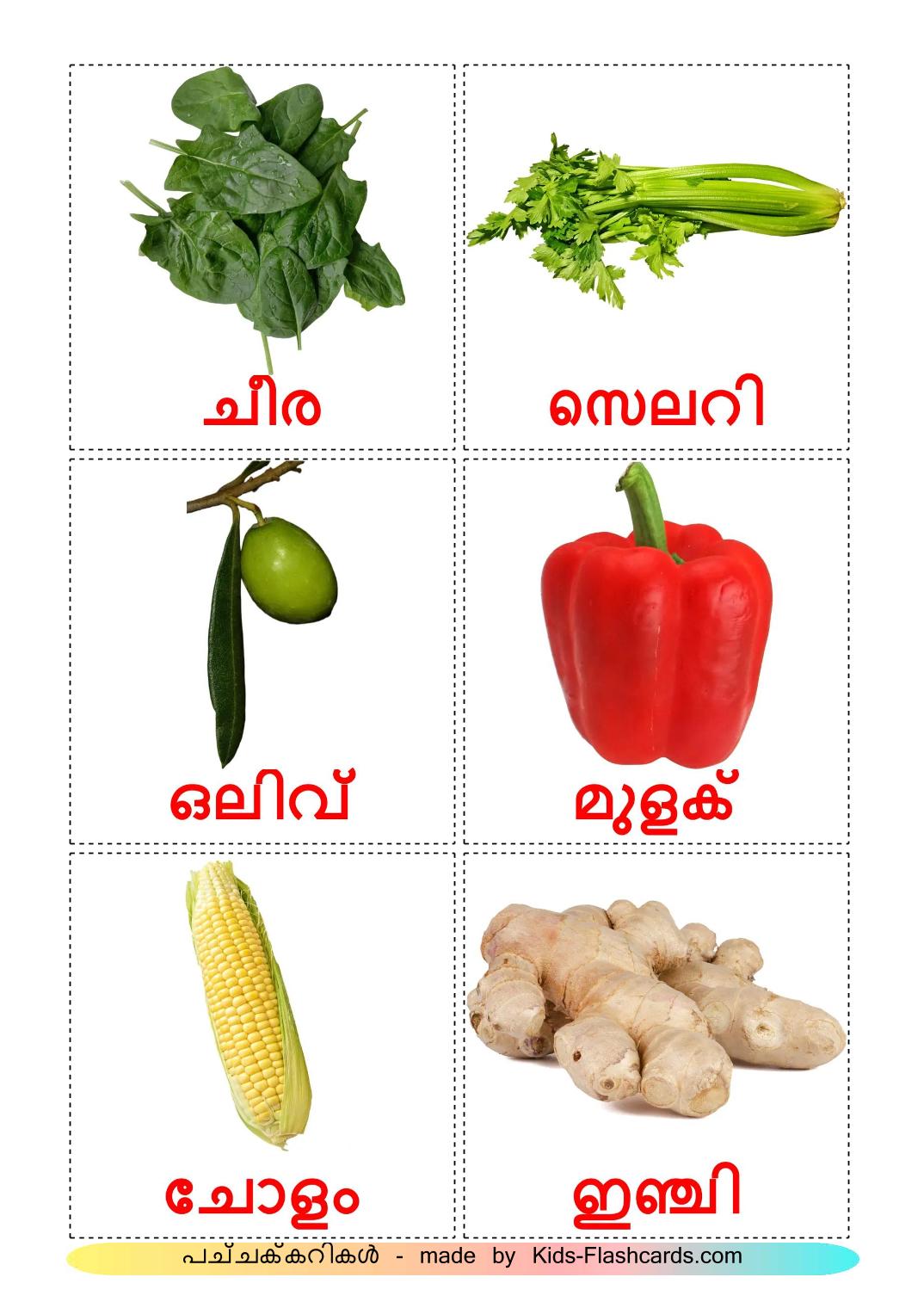 Vegetables - 30 Free Printable malayalam Flashcards 