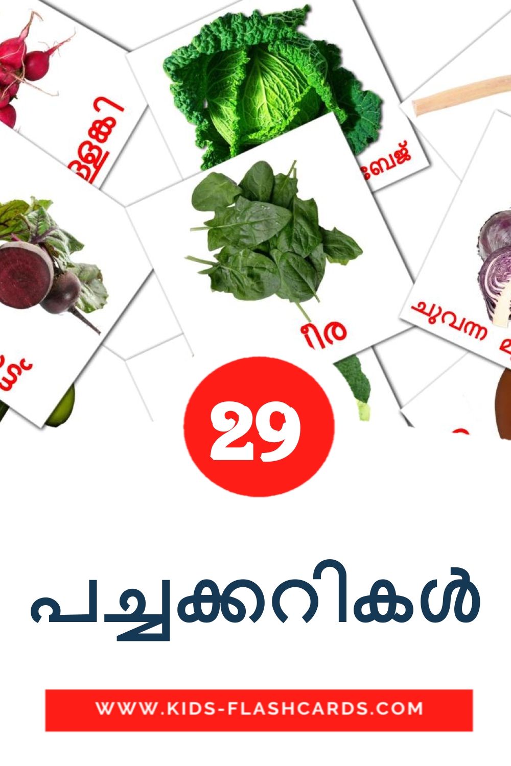 29 cartes illustrées de പച്ചക്കറികൾ pour la maternelle en malayalam
