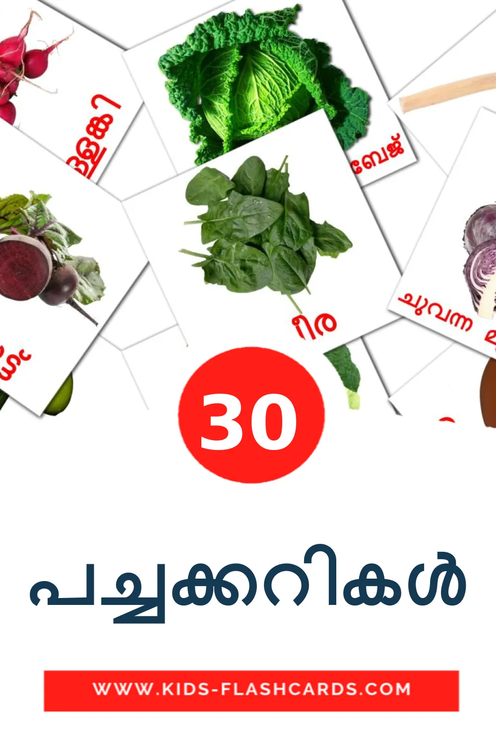 30 പച്ചക്കറികൾ Picture Cards for Kindergarden in malayalam