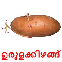 ഉരുളക്കിഴങ്ങ് picture flashcards