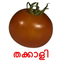 തക്കാളി picture flashcards