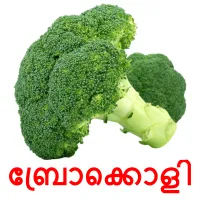 ബ്രോക്കൊളി picture flashcards