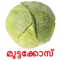 മുട്ടക്കോസ് picture flashcards