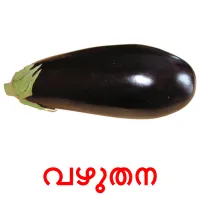 വഴുതന picture flashcards