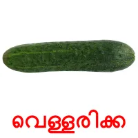 വെള്ളരിക്ക picture flashcards