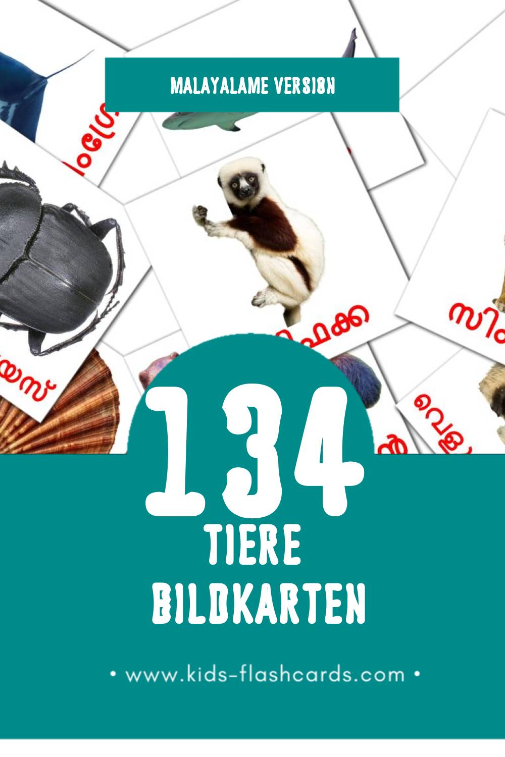 Visual മൃഗങ്ങൾ Flashcards für Kleinkinder (134 Karten in Malayalam)
