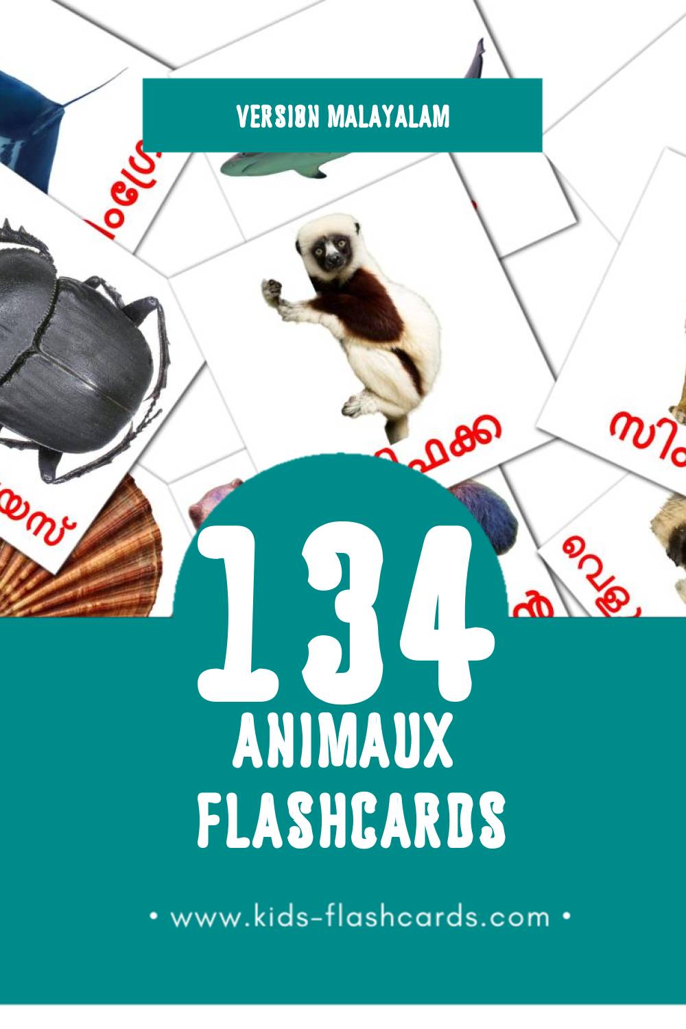 Flashcards Visual മൃഗങ്ങൾ pour les tout-petits (10 cartes en Malayalam)